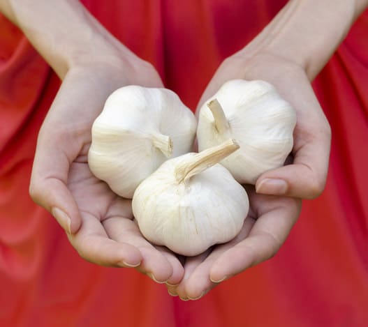 Woman holding three bulbs of garlic in her hands.
