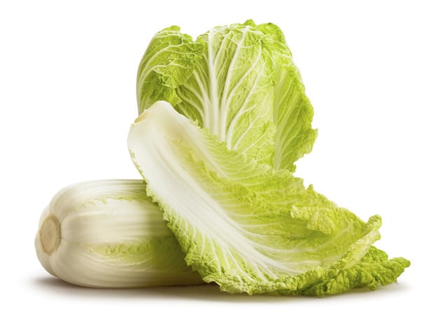 chinese cabbage isolated