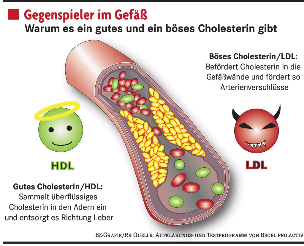 hdl-cholesterin