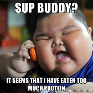 zu-viel-protein